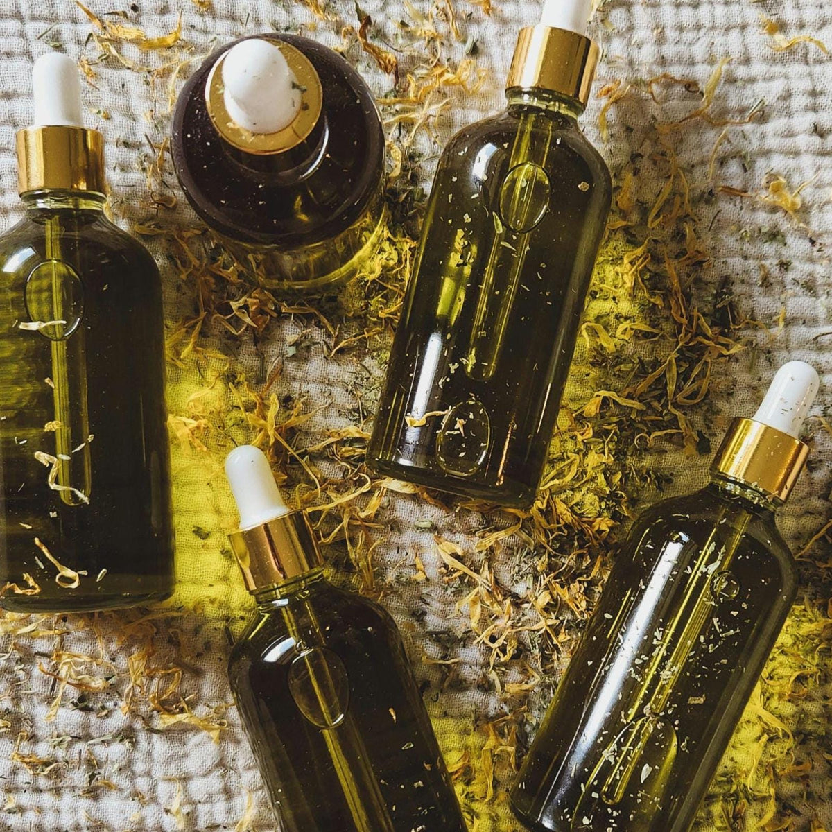 Castor Love